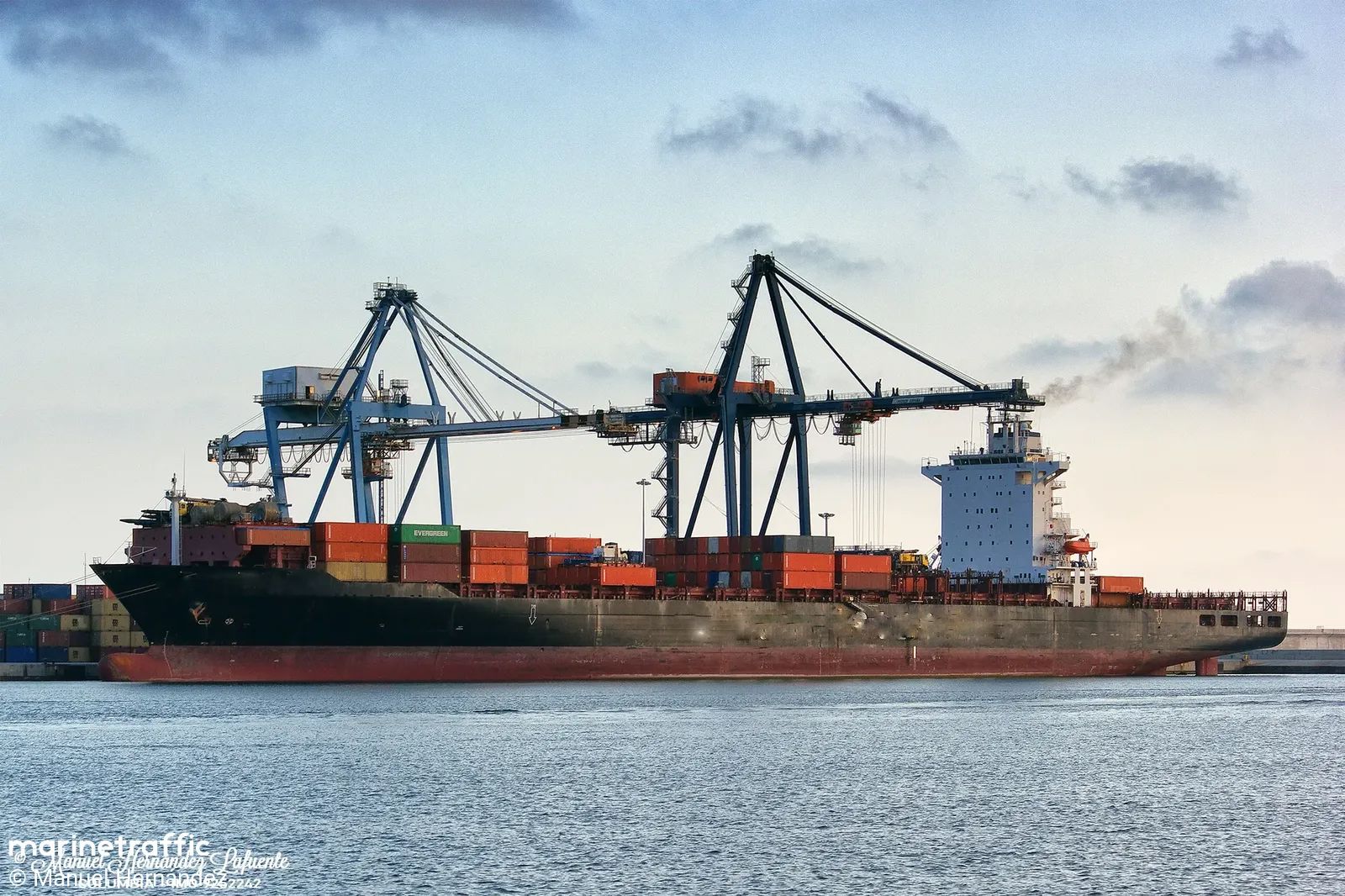 MSC Johannesburg V